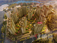 人气红盘领跑玉东，再次见证“万有引力”