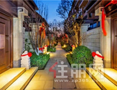 龙湖盛天·双珑原著|从一脉四观，探索龙湖原著修为之道