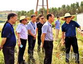 南衡高铁桂林南站将选址临桂这个地方