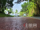 别问！问就是在忙着赚钱买房！