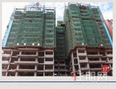 仲夏臻筑 共鉴家音 | 广汇·圣湖城六月家书