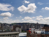 梧州：“链式”发展推动工业稳增长