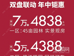 双盘联动丨中地置业年中钜惠，敬献钦城！
