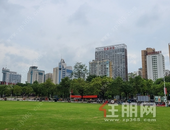 端午买房看这里，“粽”有一套适合你！