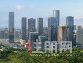 广西资产总额超千亿元国企达11户