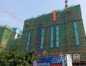 【不负城主 如期兑现】6月家书请收悉