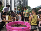 浓情端午，凤凰业主齐聚一堂，共度欢乐**！