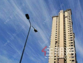 房地产“抢收潮”持续 房企以价换量维系现金流