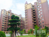 【圣世阳光】摆地摊”火了，多地解绑！桂平人，你确定不摆个摊？