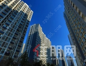 楼市升温再现“万人摇号” 迟到的需求遇上落户红利？