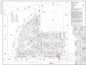 城西百亩新盘平面图来了，这个项目的名字是....