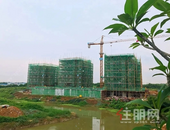 碧桂园金科博园府 | 夏风寄语，又逢家音