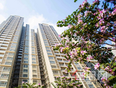 首付10万、月供3000起 刚毕业的新生代们这些盘在“7”字头内