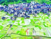 总投超2500亿！74个乡镇,在桂北大地“破茧重生”