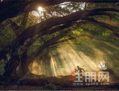 阳光城大唐·檀境｜8000㎡万物有境艺术馆即将开启