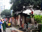 七星区开展老旧无物业小区综合整治 桂山宿舍1173平米违建被拆