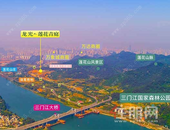 龙光莲花青庭总平图公示了 这个新豪宅项目会好卖吗？