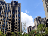 楼市持续回暖 碧桂园等龙头房企受机构青睐