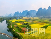 桂林阳朔遇龙河流域田园综合体建设展新颜