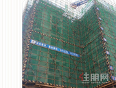 兴进景园7月家书丨盛夏绽芳菲，清风传家音