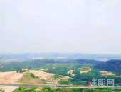 14864亩! 凤岭两大片区****出炉! 新添8所学校, 快看看在哪里!