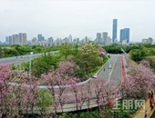 广西这8个市县将开启“公园+”模式 3年内要做这些