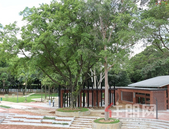 柳州雀儿山公园北区即将改造完成 还有你童年记忆吗？