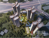 红动平南 不负期待丨金科·博雅认购火热开启！