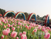 未来可期！广西公园城市建设试点花落柳州