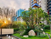 【碧桂园城市之光】八月家书丨见证家的成长