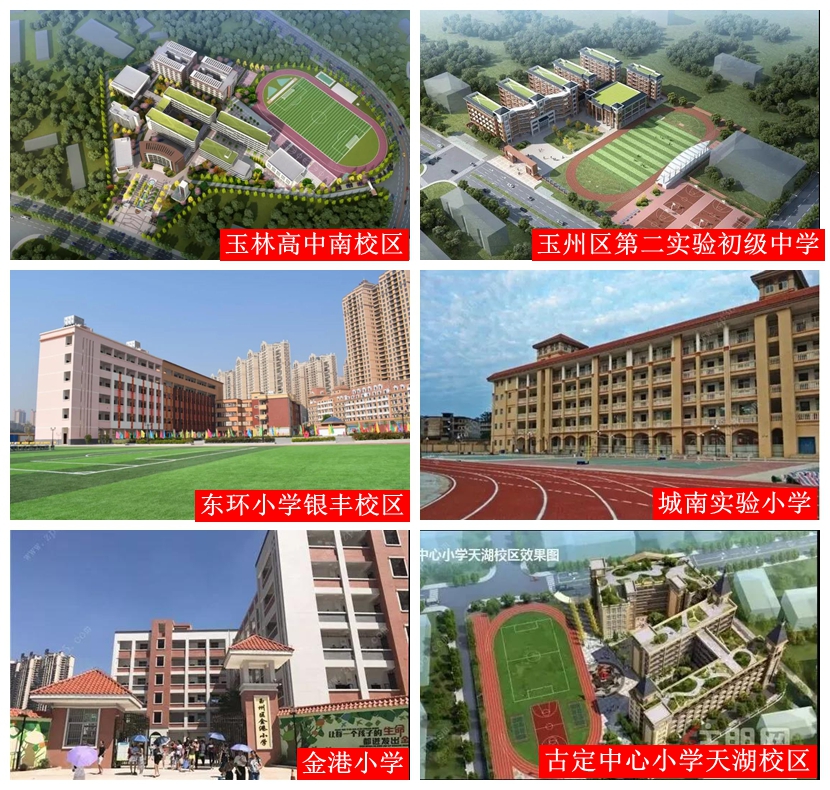 金港小学,城南实验小学,环南学校,万秀小学,南江中心小学;中学的有苗