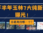 爆棚! 下半年玉林预计7个纯新盘入市! 有的营销中心即将开放...