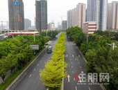 力争10月1日完工！玉城人民东路主道景观改造完成，目前正在...