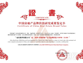 龙光集团荣居2020中国房地产公司品牌价值第12位