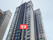 永利·印象 | 九月家音美好呈现，执笔挥毫，一纸家书诉秋情~