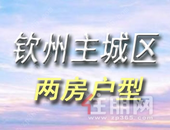 年轻人**买房，三房太贵、单间太小?钦州这些两房户型你给几分？