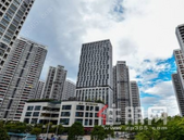 2019年涉预售合同纠纷逾8万件 历史**