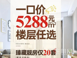 长融·人和春天**20套臻藏靓房|一口价5288元/㎡楼层任选！