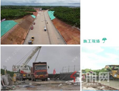 全力冲刺！博白这条高速公路年底建成通车