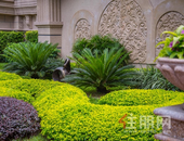 恒大御景 金秋盛惠，红动新区，抢热门小户！