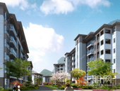 龙光集团成功发行美元票据 利率4.25%再创历史新低