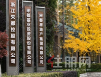 新禧开年 大匠宋都远见杭城