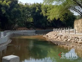 苍梧：一亿多元的水利工程，完成进度如何？