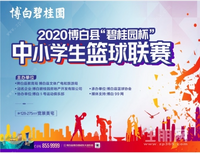 2020年博白“碧桂园杯”中小学生篮球联赛，正在直播~