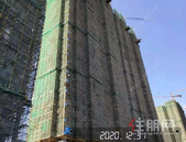 大唐世家12月家书丨初冬悄然至，给幸福“家”点温暖