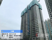 阳光城文澜府｜一月家书，年初阅家音 一笺暖心房