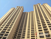 龙凤江城**工程进度播报