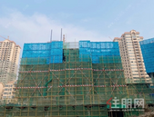 碧桂园金科·博园府1月家书丨寒冬送暖 家音传情