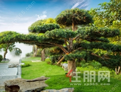 鑫炎·桃花源丨徽派院子江南梦，穿梭千年臻筑美好生活