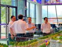 政协常务副主席带队到鑫炎凤凰城商业广场调研指导重大项目进展工作